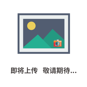 高精密平移臺—CTS90-C